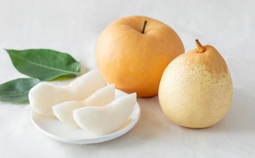 あたご梨・鴨梨（ヤーリー）詰合せ