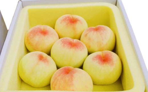 【訳アリ家庭用】清水白桃 2キロ