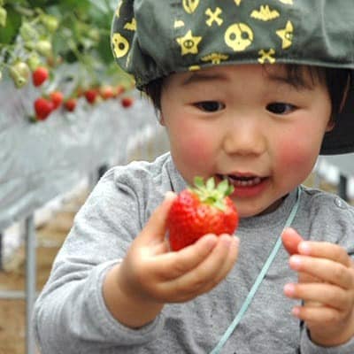 【2026年度発送分】朝採れ新鮮ピオーネ2kg＆いちご狩り無料券【配送不可地域：離島・北海道・沖縄県】