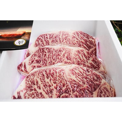津山生まれ・津山育ち【つやま和牛】霜降りステーキ(リブロース・サーロイン)　600g(3枚)【配送不可地域：離島】