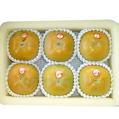 【先行受付】津山産高級大甘柿　太秋大甘柿【配送不可地域：離島】