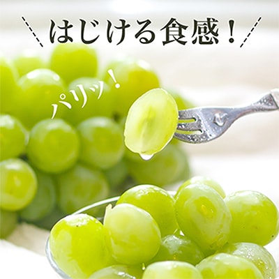 【先行受付】岡山県産マスカットオブアレキサンドリア1房(秀品以上・700g以上)化粧箱入り【配送不可地域：離島・北海道・沖縄県】