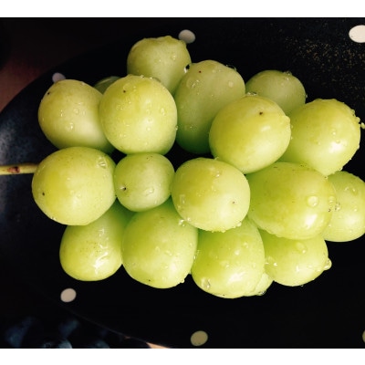 岡山県　吉備高原産　シャインマスカット　1房入り(650g以上)　ご贈答品