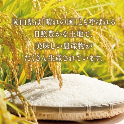 おいしいお米(5kg) 無洗米 リピーター続出 きぬむすめ