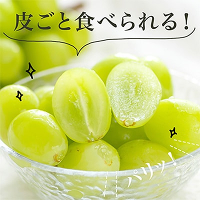 【先行受付】岡山県産　シャインマスカット『晴王』1房　700g以上　化粧箱入り【配送不可地域：離島・北海道・沖縄県】