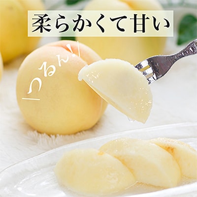 【先行受付】岡山県産　白桃6玉(1.6kg以上)　化粧箱入り【配送不可地域：離島・北海道・沖縄県】