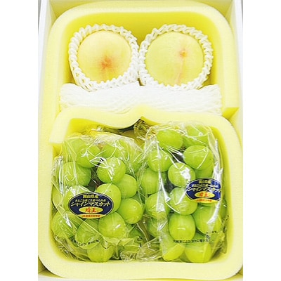 【先行受付】岡山県産　詰合せ/白桃とシャインマスカット『晴王』 化粧箱入り【配送不可地域：離島・北海道・沖縄県】