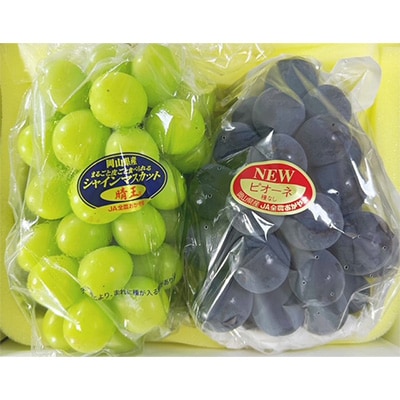 【先行受付】岡山県産　詰合せ/シャインマスカット『晴王』とニューピオーネ　化粧箱入り【配送不可地域：離島・北海道・沖縄県】