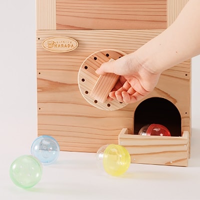 木のガチャガチャ