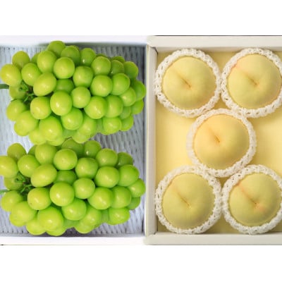 ◆先行受付◆　岡山白桃とシャインマスカット　2026年発送【配送不可地域：離島・北海道・沖縄県】