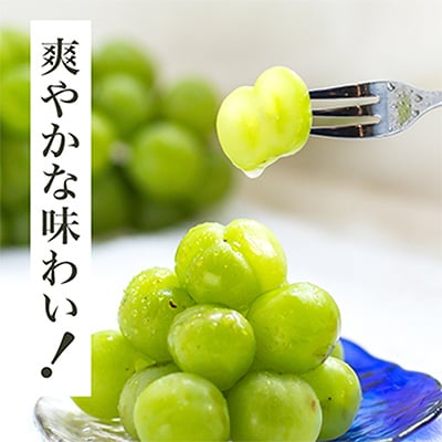 【先行受付】岡山県産　瀬戸ジャイアンツ2房　(1房480g以上)合計約1kg　化粧箱入り【配送不可地域：離島・北海道・沖縄県】