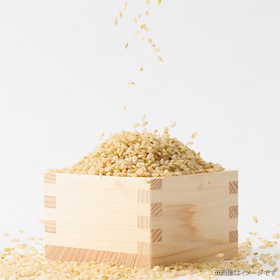 【突鉱土育ち】津山産トッコウ米(こしひかり)玄米30kg