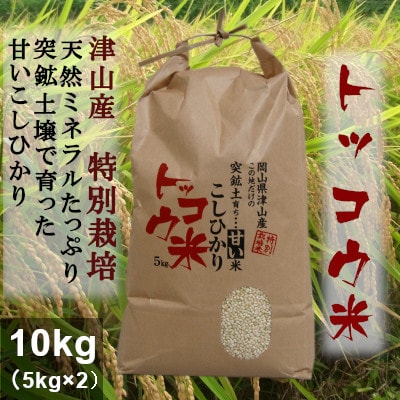【突鉱土育ち】津山産トッコウ米(こしひかり)10kg
