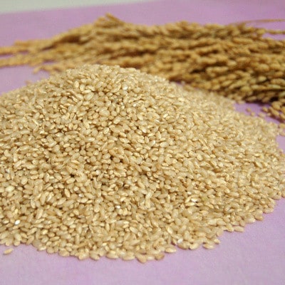 【突鉱土育ち】巨大胚芽米CoCoRo 10kg