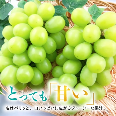 糖度!シャインマスカット!約2kg【2026年9月初旬より順次発送】ギフトにも岡山県産ぶどう!【配送不可地域：離島】