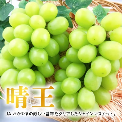 【2026年発送】岡山名産【晴王】シャインマスカット2kg!8月下旬以降順次発送【配送不可地域：離島】