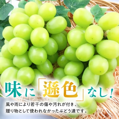 【2026年発送】訳あり!シャインマスカット約2kg!8月中旬～順次発送【人気の岡山産ぶどう】【配送不可地域：離島】