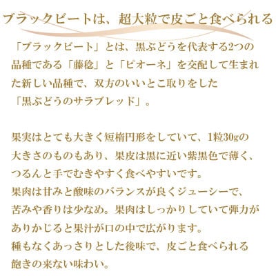 【先行受付】岡山県産　ブラックビート　2kg(3房～6房)【配送不可地域：離島・北海道・沖縄県】