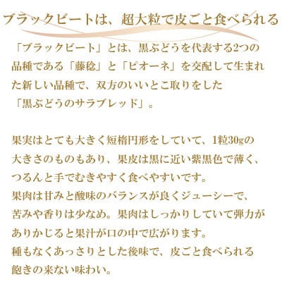【先行受付】岡山県産　ブラックビート　500g×2房【配送不可地域：離島・北海道・沖縄県】