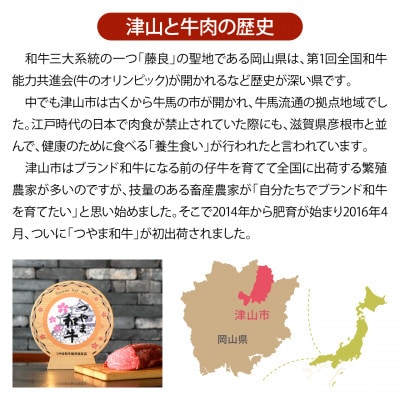 【岡山県産黒毛和牛】つやま和牛切り落とし600g【配送不可地域：離島】