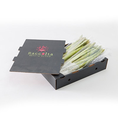 採れたて新鮮　アスパラガス　1kg【配送不可地域：離島】