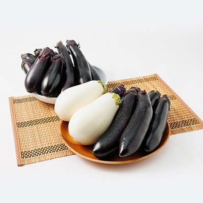 2024年発送　食卓の新しい定番!なす栽培歴50年の大ベテランが育てたなすの詰め合わせセット