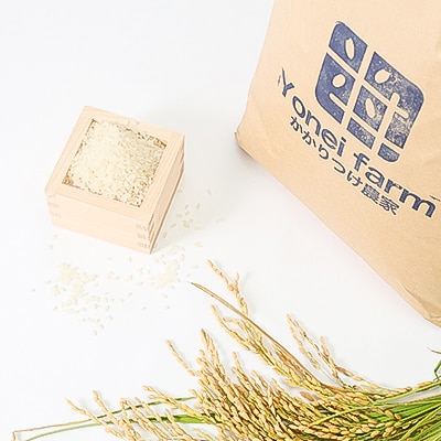 令和5年産 きぬむすめ 10kg【無洗米】牡蠣殻のミネラルで育ったお米