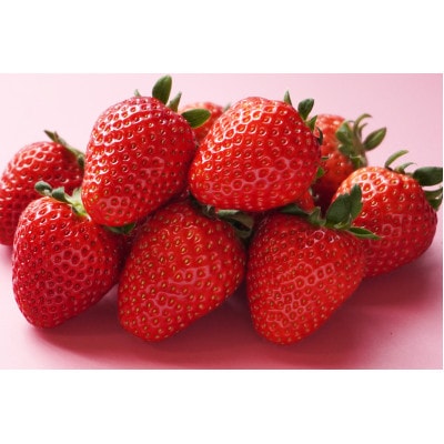 先行受付2026年1月以降発送　晴れの国おかやま新ブランド「晴苺」化粧箱入り2パック【配送不可地域：離島・北海道・沖縄県】