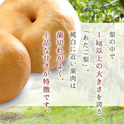 ご家庭用 岡山県産 あたご梨 3～6玉 4kg【配送不可地域：離島】