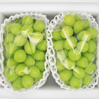 岡山県産シャインマスカット(ご家庭用)【2026年9月中旬以降発送予定】【配送不可地域：離島】