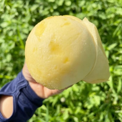 【2026年先行予約】2026年7月下旬頃より発送予定・岡山の白桃・清水白桃(2kg箱)【配送不可地域：離島】