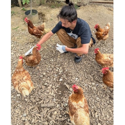 津山市産・平飼い卵25個+割れ保証5個