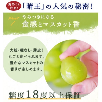 【先行受付】岡山県産 シャインマスカット『晴王』2房(1房480g以上) 化粧箱入り【配送不可地域：離島・北海道・沖縄県】