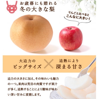 岡山県産 あたご梨 4～7玉(約4kg) 化粧箱入り【配送不可地域：離島・北海道・沖縄県】