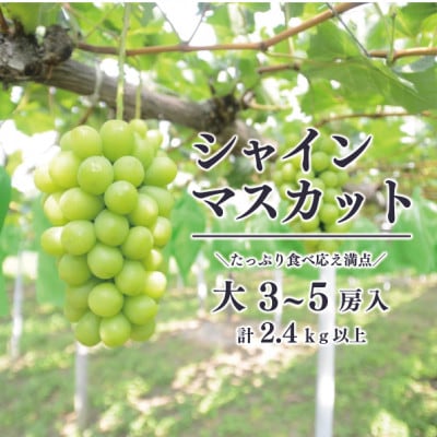 【2026年先行予約】シャインマスカット 上級品 大3-5房/計2.4kg～(岡山県産)【配送不可地域：離島】