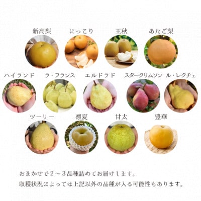 【2026年先行予約】梨好きのための、梨2-3食べ比べ ご家庭用 5-7玉(岡山県産)
