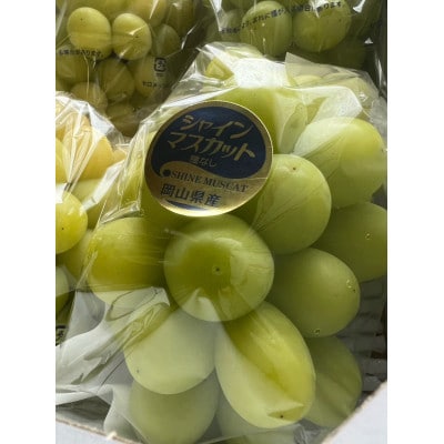 【先行予約 2026年発送】岡山県産　シャインマスカット　2房(合計約1kg)【配送不可地域：離島】