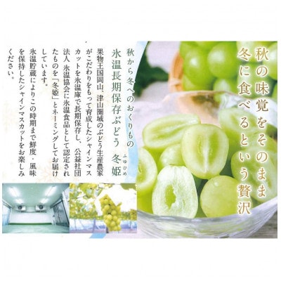 【11月-1月発送】氷温貯蔵マスカット冬姫(1房)【配送不可地域：離島】