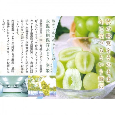 【11月-3月発送】氷温貯蔵マスカット冬姫(18粒)【配送不可地域：離島】