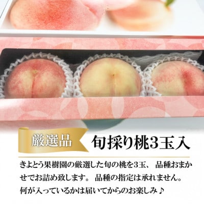 【2026先行予約】【厳選品】旬の桃(品種おまかせ)3玉入(岡山県産)【配送不可地域：離島】