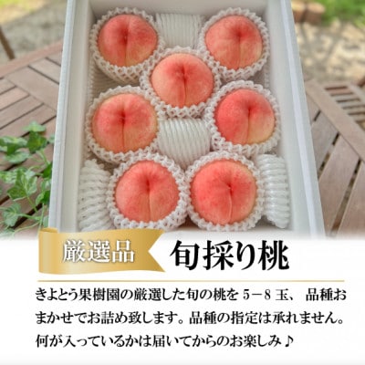 【2026年先行予約】【厳選品】旬の桃(品種おまかせ) 5-8玉入(岡山県産)【配送不可地域：離島】