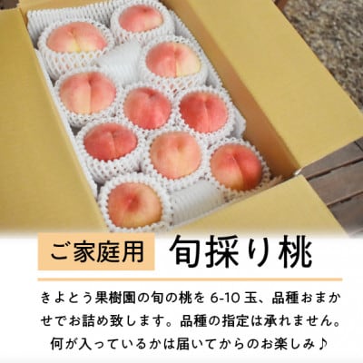 【2026年先行予約】旬採り桃 ご家庭用 6-10玉(岡山県産)【配送不可地域：離島】