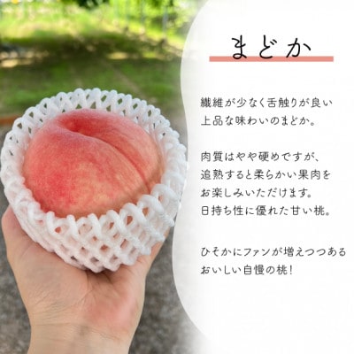 【2026年先行予約】上品な肉質 まどか 白桃 上級品 5-7玉入(岡山県産)【配送不可地域：離島】