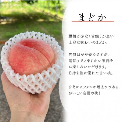 【2026年先行予約】上品な肉質 まどか 白桃 ご家庭用 5-7玉入(岡山県産)【配送不可地域：離島】