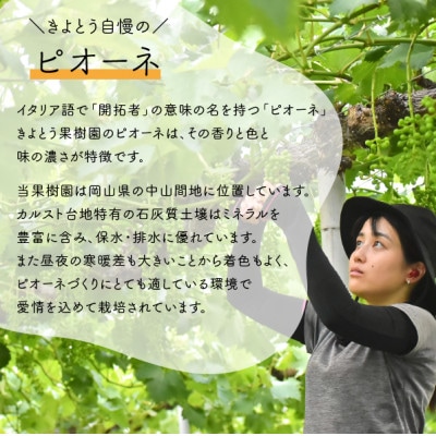 【2026年先行予約】シャインマスカット＆ピオーネ 3-5房入/計2kg～(岡山県産)【配送不可地域：離島】