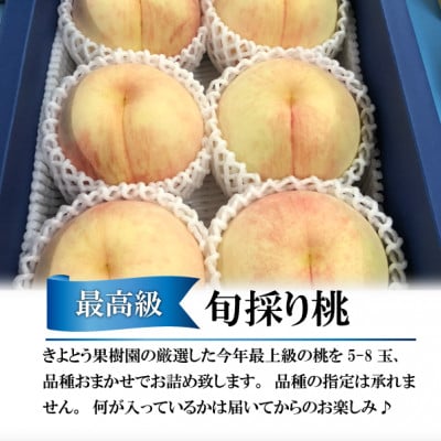 【2026年先行予約】【厳選品】旬の桃(品種おまかせ) 5-8玉(岡山県産)【配送不可地域：離島】