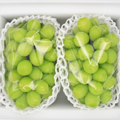 岡山県産シャインマスカット大房【2026年9月末以降順次発送】【配送不可地域：離島】