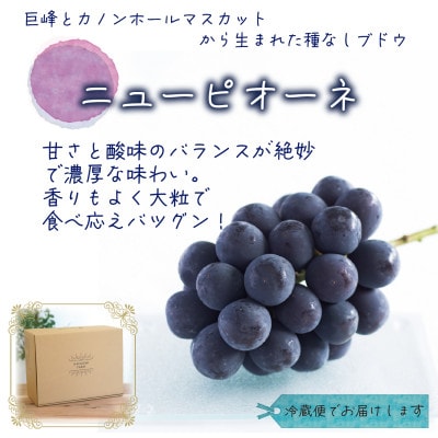 【2026年先行受付】岡山　花笑み農園の『ニューピオーネ』優品　約2kg(3～5房)　P-2優【配送不可地域：離島・北海道・沖縄県】