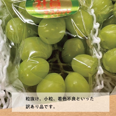 【2026年先行予約】訳あり品 シャインマスカット/約2kg(岡山県産)【配送不可地域：離島】