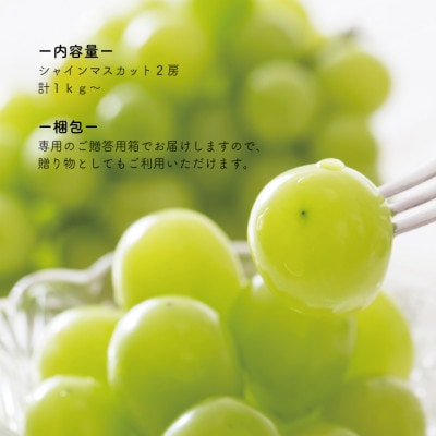 【2026年先行予約】食べ切サイズ シャインマスカット 中2房/計1.0kg～(岡山県産)【配送不可地域：離島】